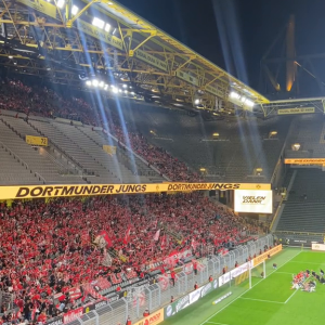 Borussia Dortmund II - Rot-Weiss Essen 1:2